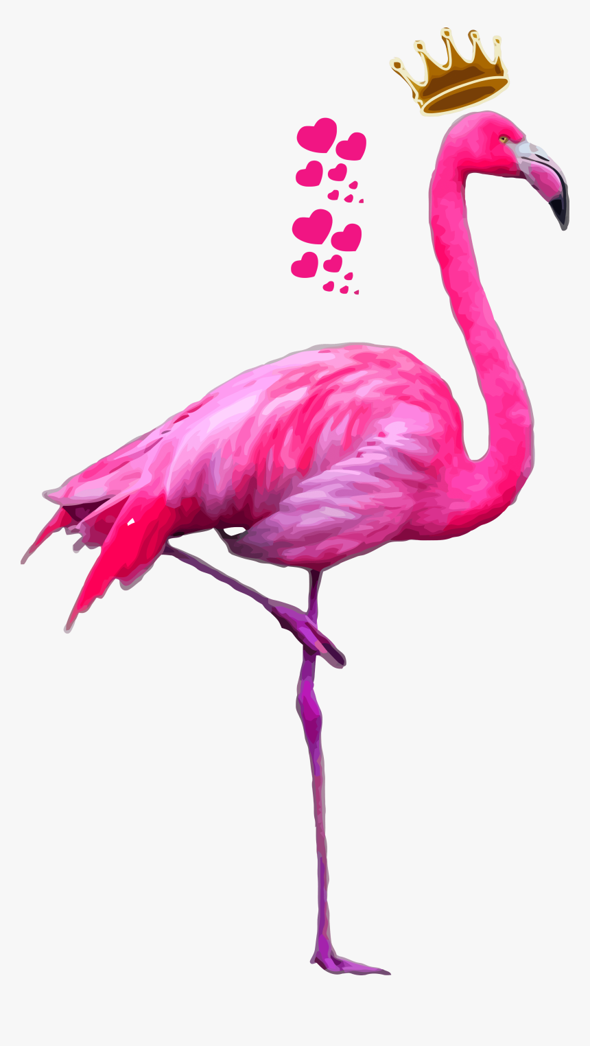 #flamingo #flamenco #animals #ftestickers #stickers - Flamingo Png, Transparent Png, Free Download