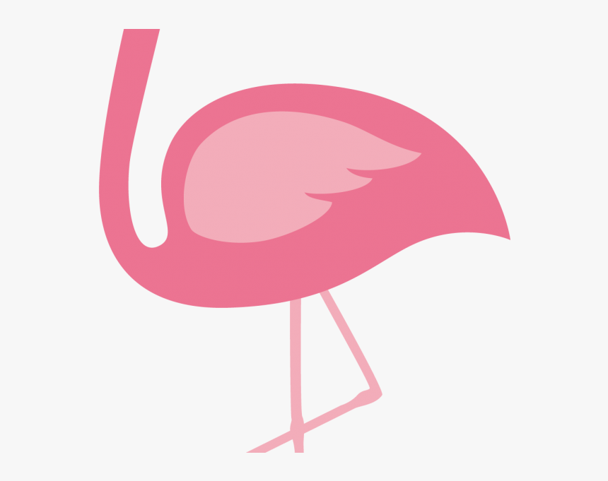 Transparent Background Flamingo Clipart, HD Png Download, Free Download