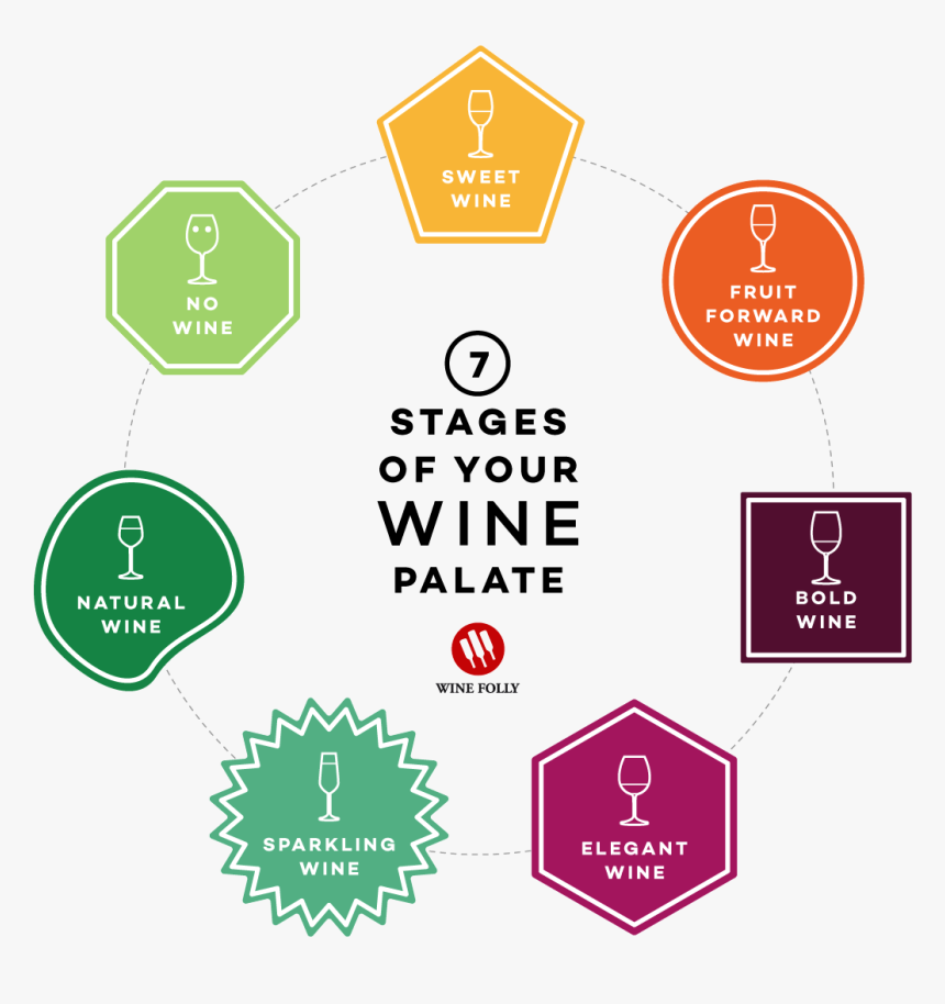 The 7 Stages Of Your Wine Palate By Wine Folly - Wine Palate, HD Png Download, Free Download