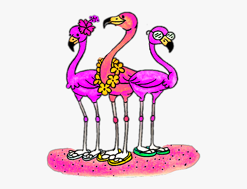 Flamingo Clipart Beach - Beach Flamingo Clipart, HD Png Download, Free Download