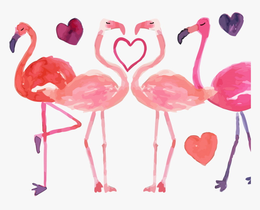 Greater Flamingo, HD Png Download, Free Download