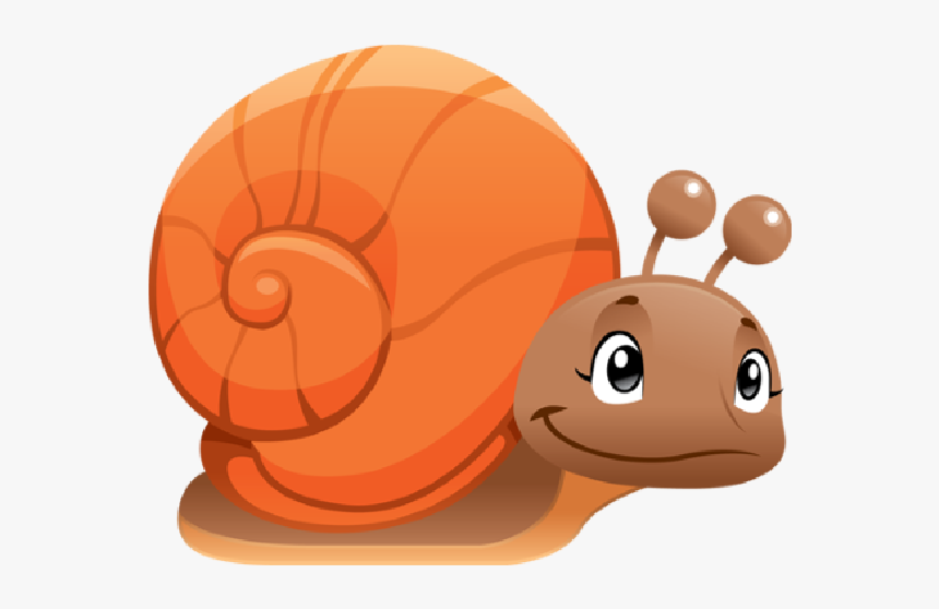 Rainbow Snail Png - Snail Cartoon Clipart, Transparent Png, Free Download