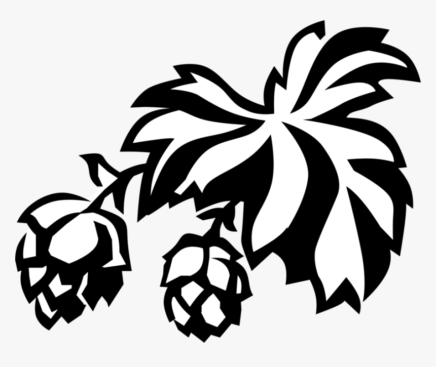 Vector Illustration Of Hops Flowers Used As Flavoring - Hop Flower Clipart Logo Png, Transparent Png, Free Download