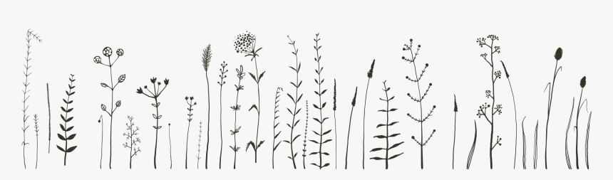 Flower Doodle Designs Bullet Journal - Bullet Journal Flower Doodles, HD Png Download, Free Download