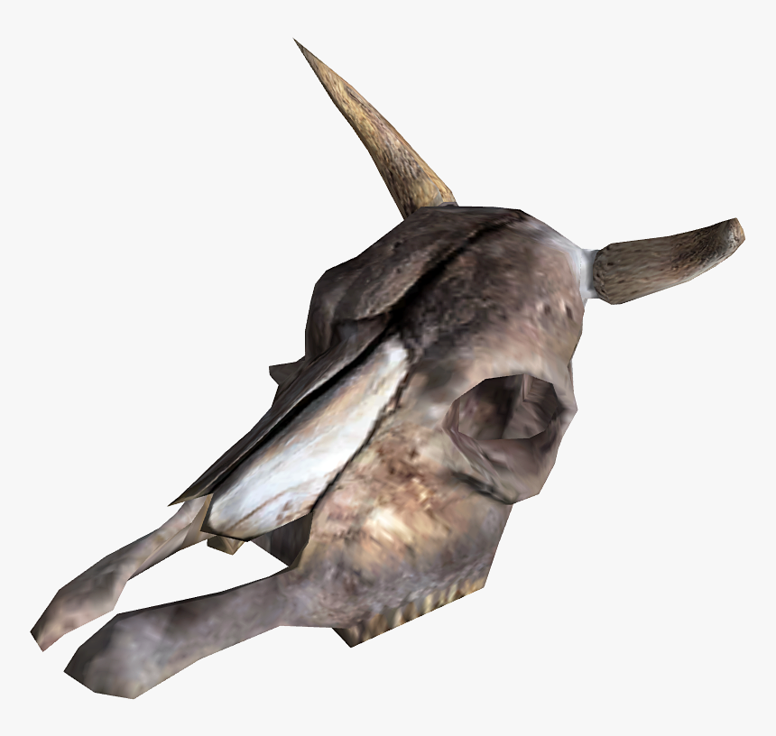 Brahmin Skull - Antler Fallout New Vegas, HD Png Download, Free Download