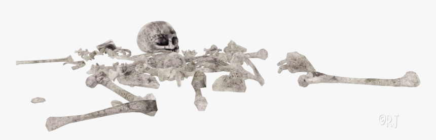 Pile Of Bones Png, Transparent Png, Free Download