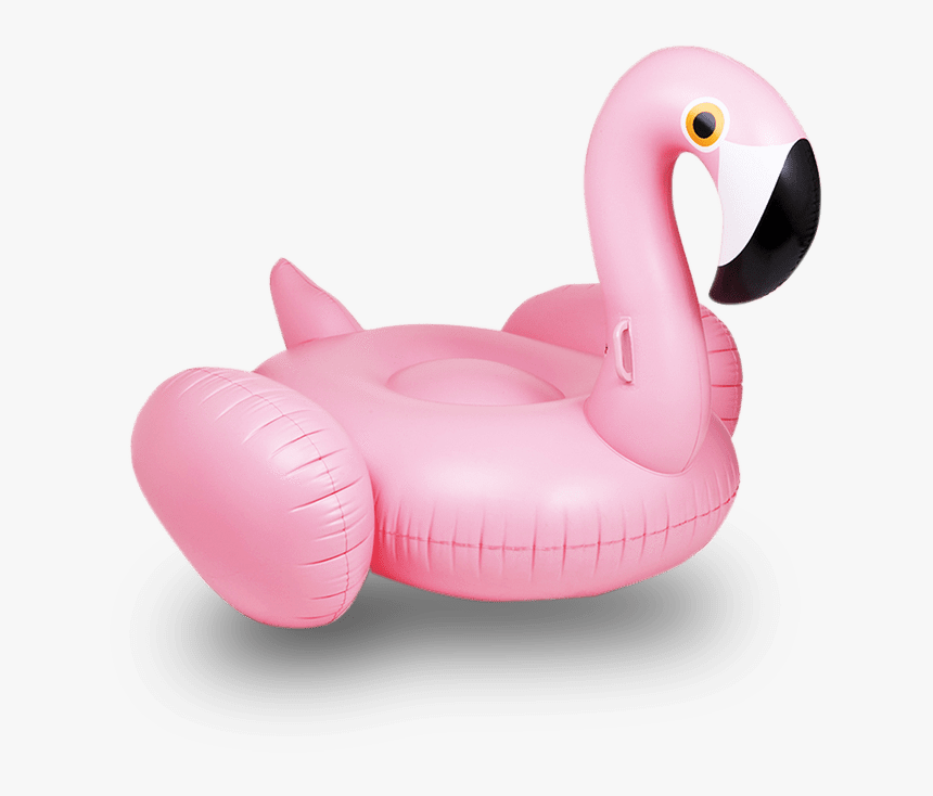 Transparent Floatie Png - Flamingo Float Transparent Background, Png Download, Free Download