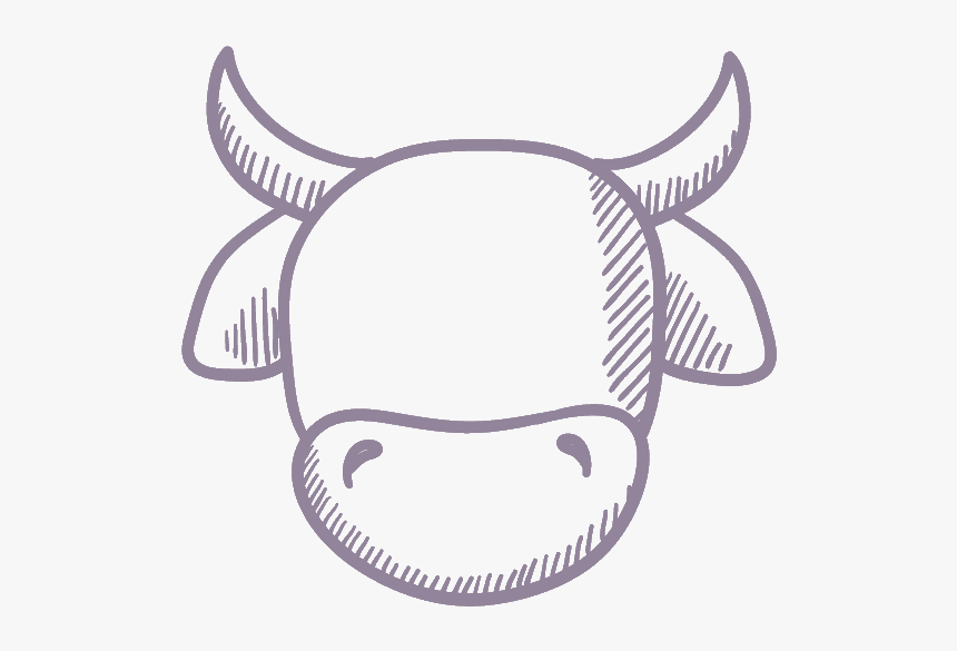 Drawing Of A Cow Head, HD Png Download, Free Download