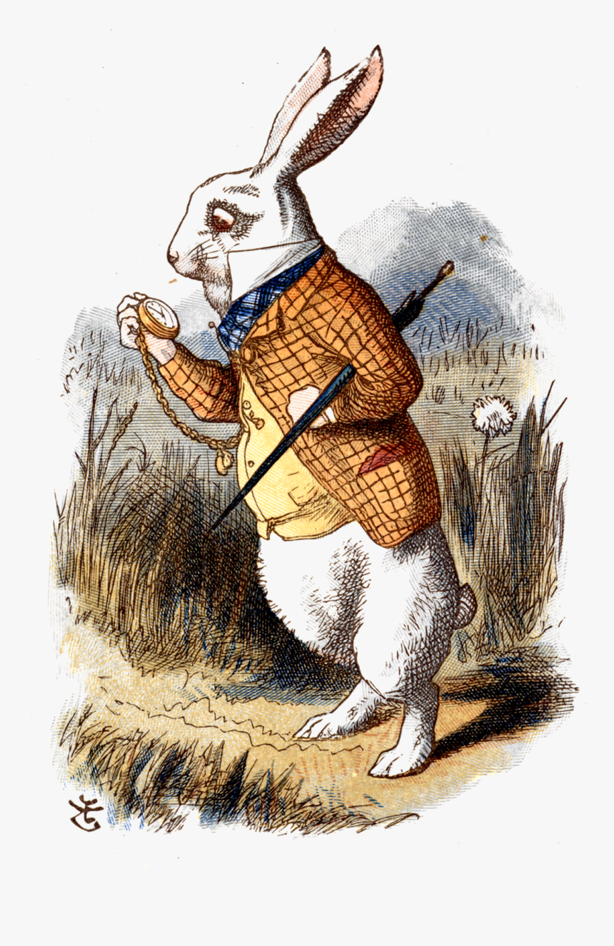 White Rabbit Alice In Wonderland Book, HD Png Download, Free Download