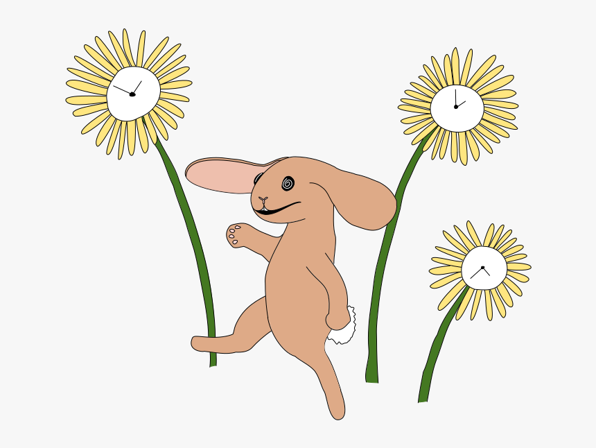 Bunnytrip - Barberton Daisy, HD Png Download, Free Download