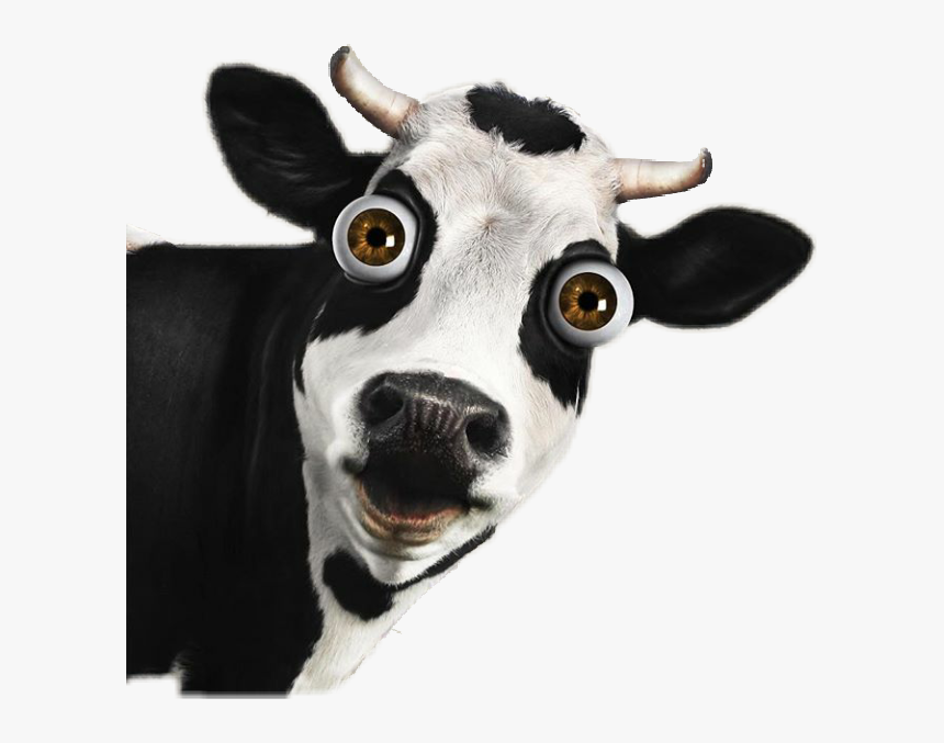 #cow - Ubre De Vaca, HD Png Download, Free Download