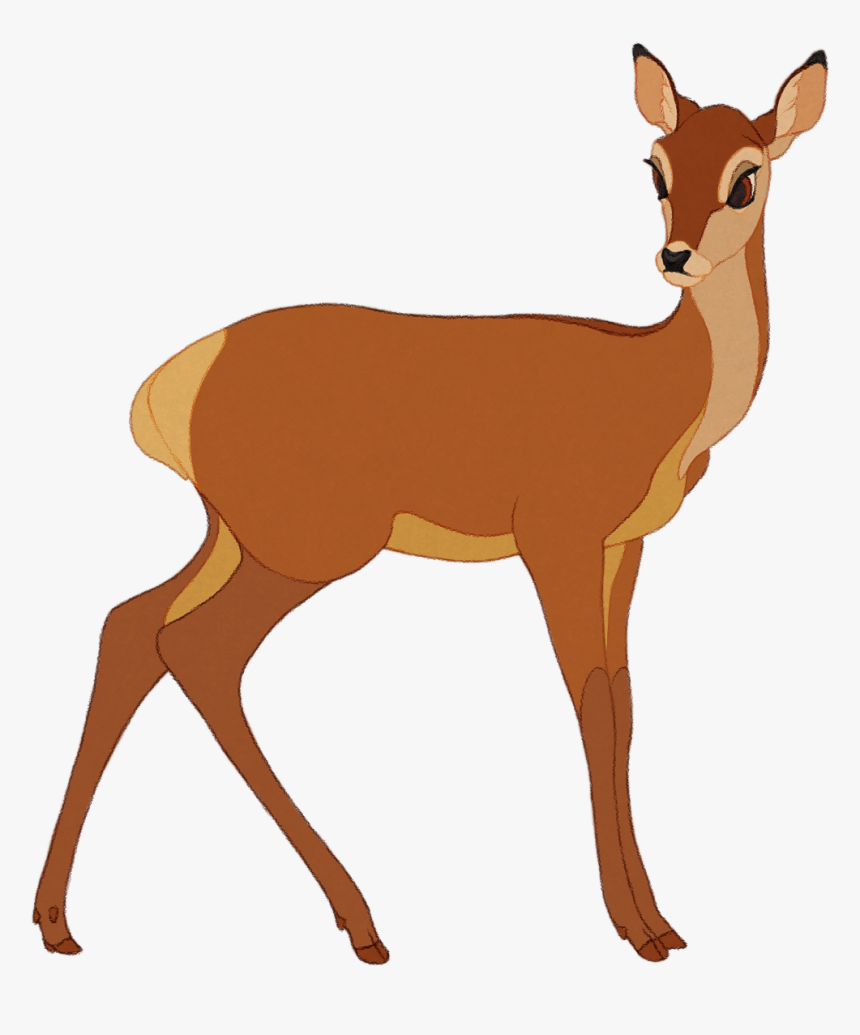 White-tailed Deer Musk Deers Antler Gazelle - Roe Deer, HD Png Download, Free Download