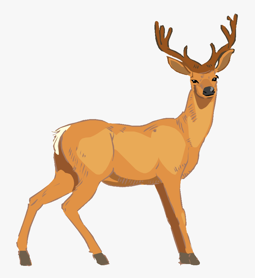 Baby Deer Clip Art Image - Deer Clipart, HD Png Download, Free Download