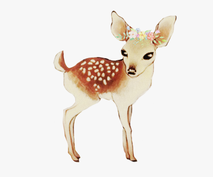 Baby Deer @scribblehandsfreetoedit - Deer Drawing Baby, HD Png Download, Free Download
