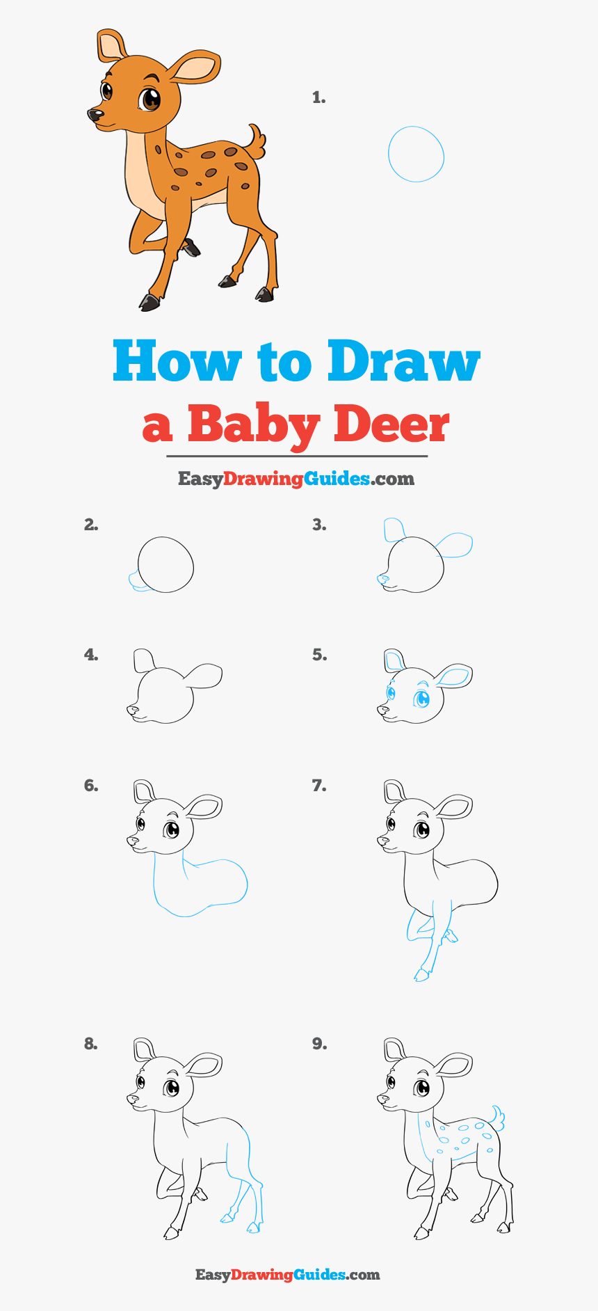 Deer Drawing Step By Step - Carinewbi