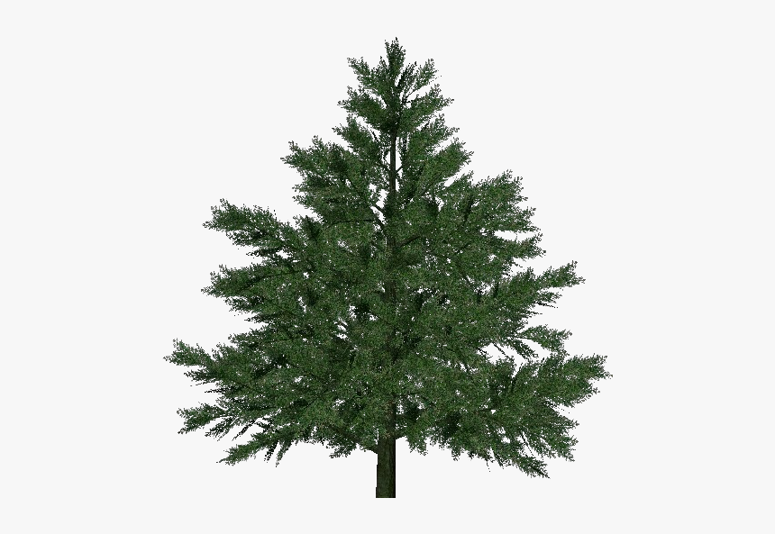 3d Trees - Pine - Acca Software - Free Fake Christmas Tree, HD Png Download, Free Download