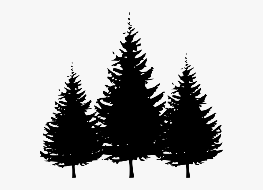 Silhouettes - Vector Pine Tree Silhouette, HD Png Download - kindpng