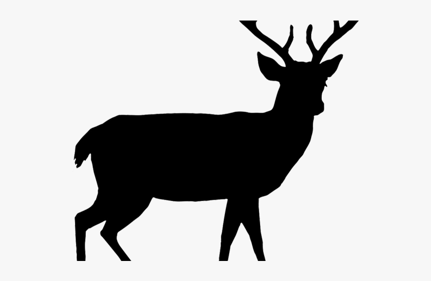 Buck Clipart Baby Deer - Deer Silhouette Png, Transparent Png, Free Download