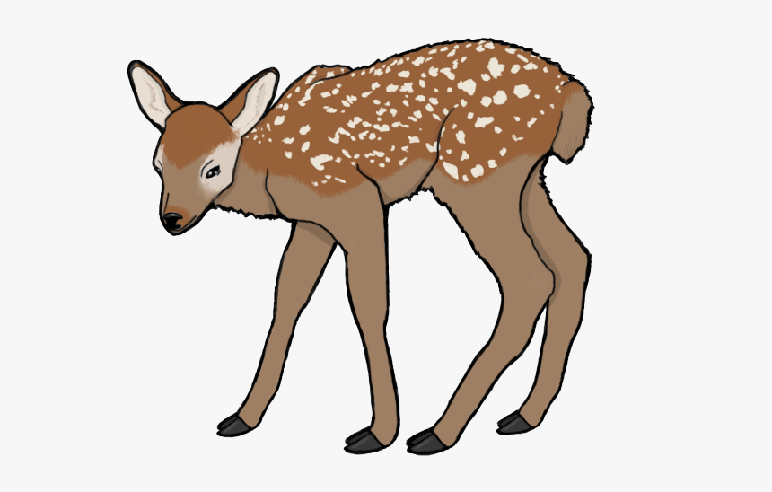 Deer 2 Origional - Deer, HD Png Download, Free Download