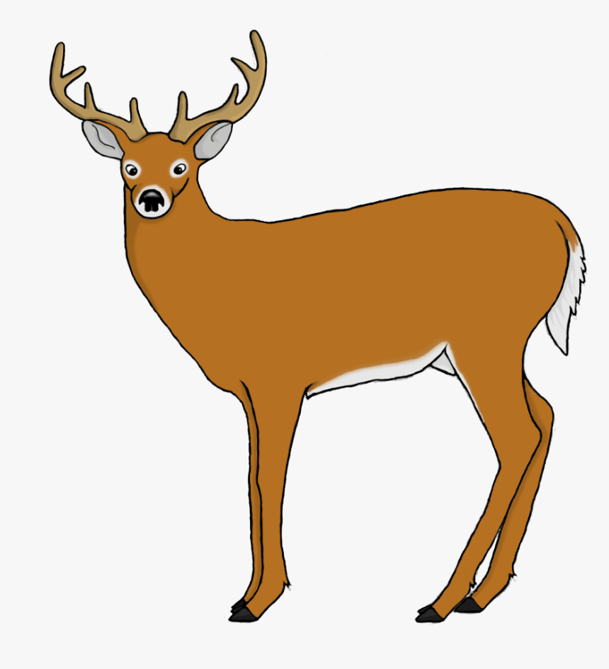 Deer Vs3 - Clip Art, HD Png Download, Free Download