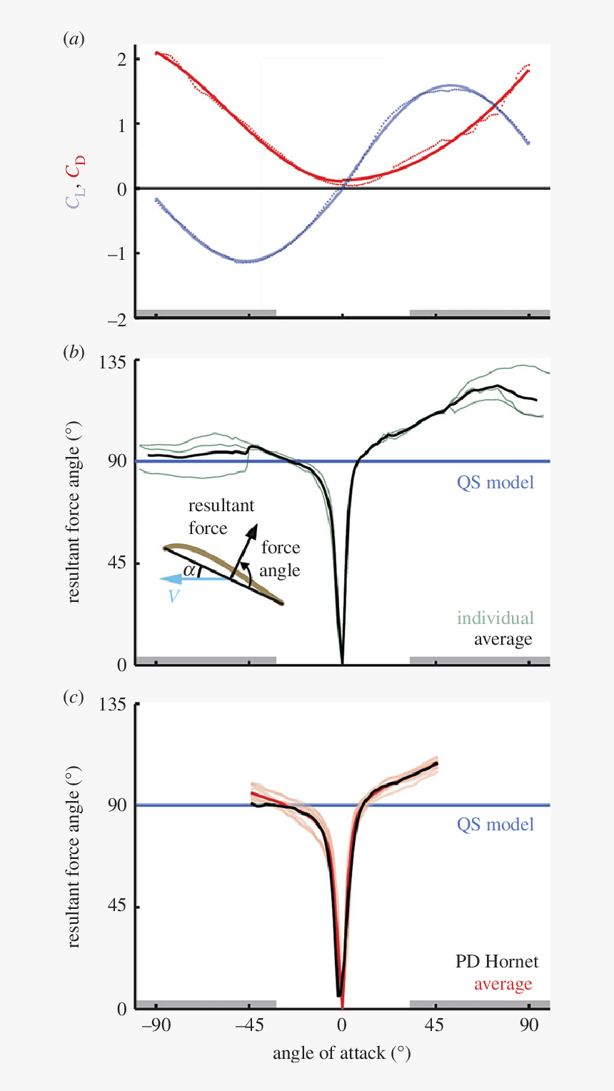 Diagram, HD Png Download, Free Download