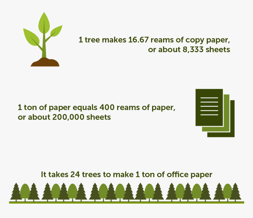 Grass, HD Png Download, Free Download