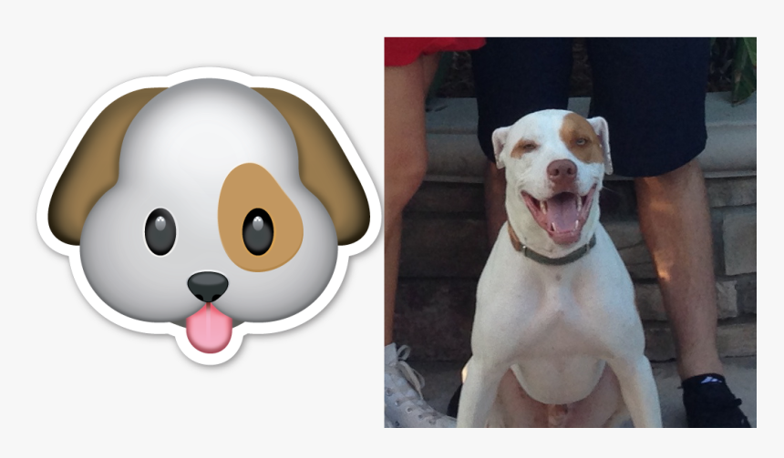 Carinha De Cachorro Desenho , Png Download - Emoji Dog Png, Transparent Png, Free Download