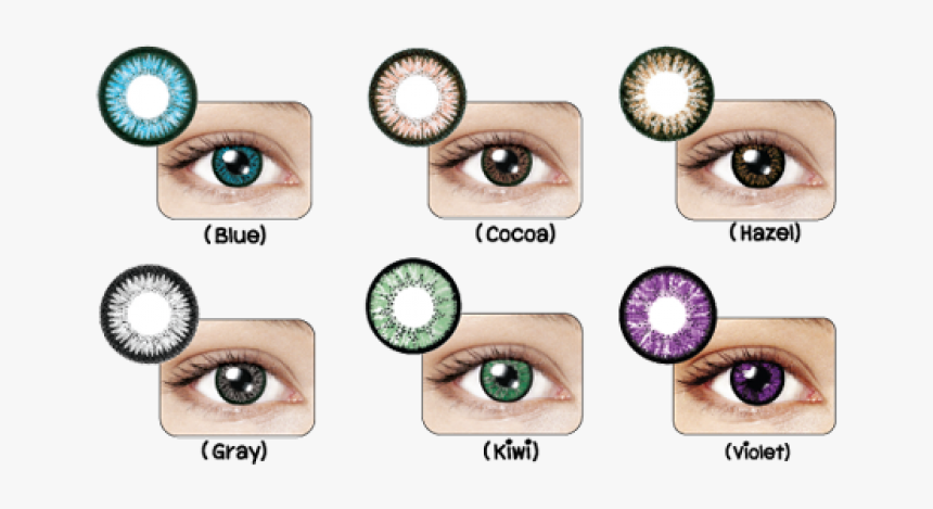 Maxim Contact Lens Blue Box, HD Png Download, Free Download