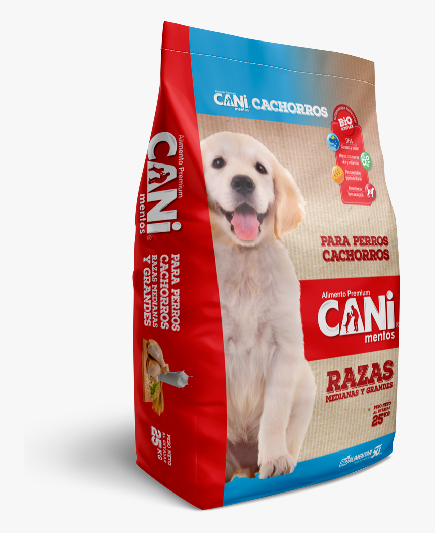 Cani Cachorro, HD Png Download, Free Download