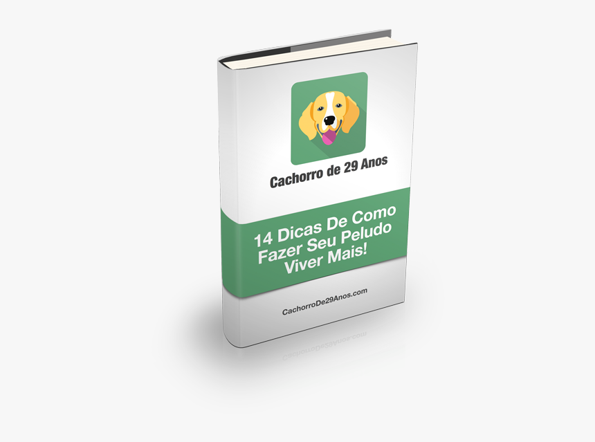 Beagle, HD Png Download, Free Download