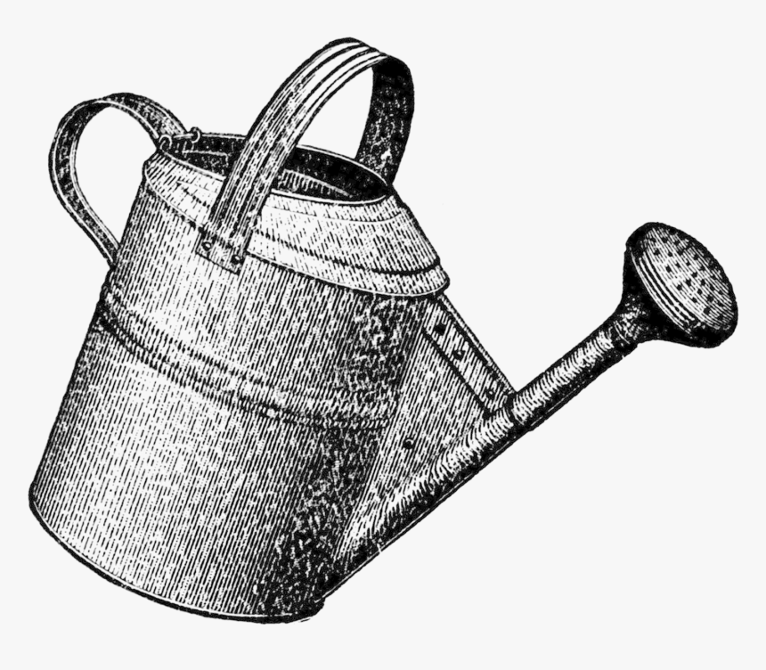 Watering-can - Watering Can Drawing, HD Png Download, Free Download