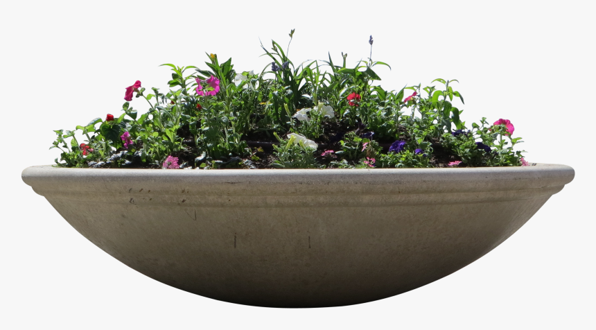 Transparent Arbustos Png - Transparent Png Flower Box, Png Download, Free Download