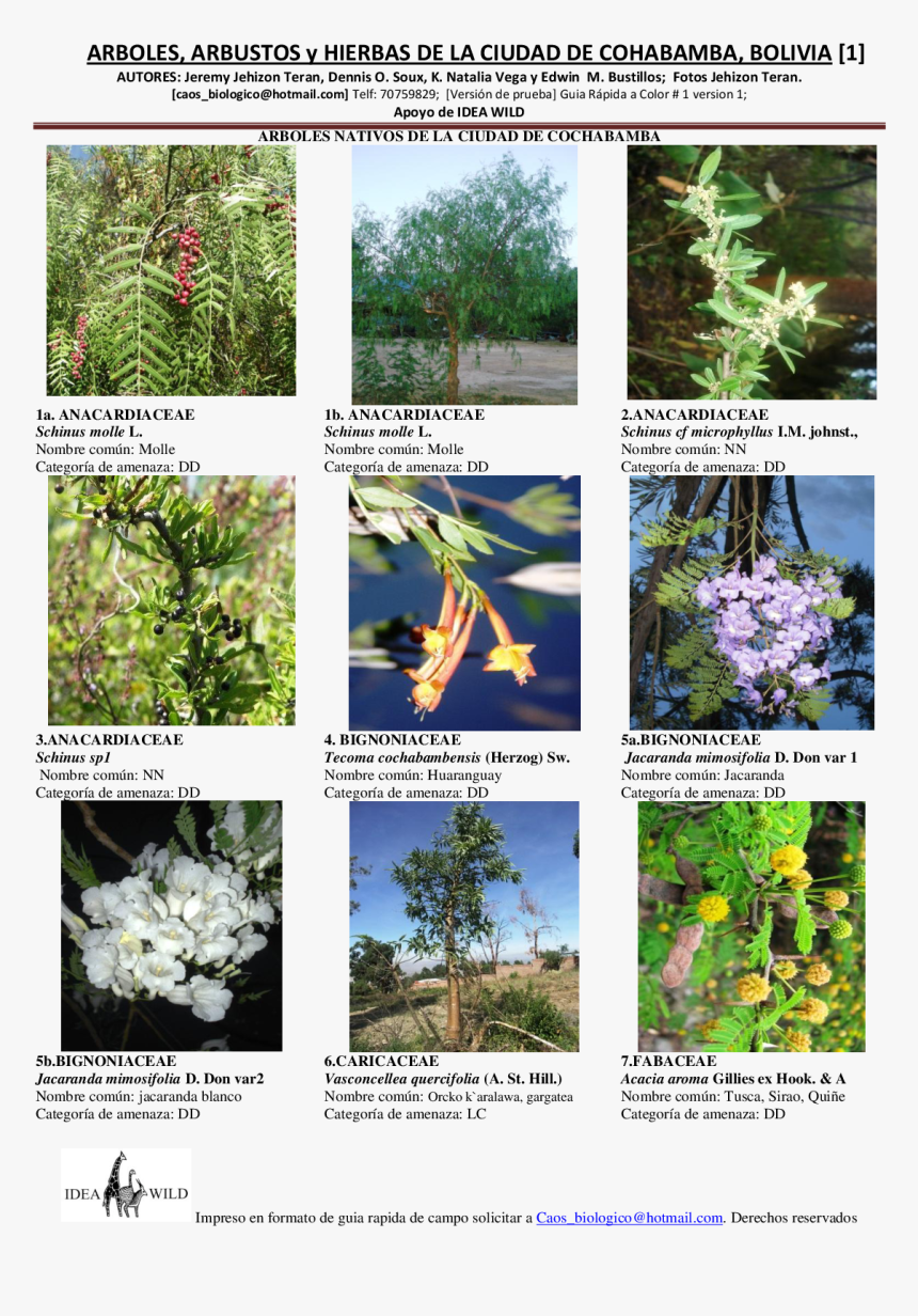 Arbusto Png , Png Download - Común Nombres De Arbustos, Transparent Png, Free Download