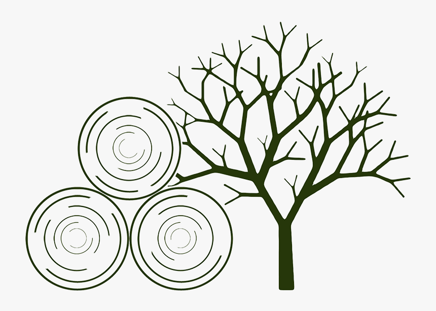 Dead Tree Silhouette Clipart , Png Download - Wooden Tree Jewellery Stand Diy, Transparent Png, Free Download