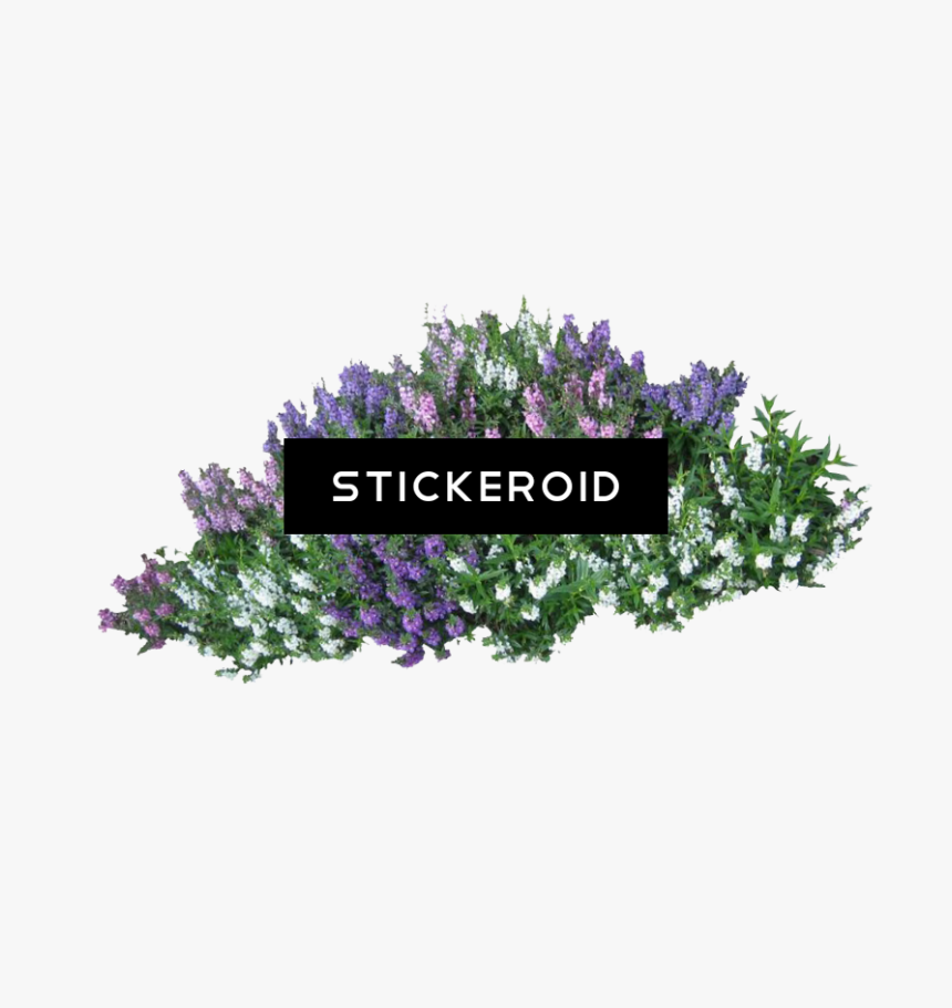 Arbustos Png Para Renders , Png Download - Flowers Bushes Png, Transparent Png, Free Download