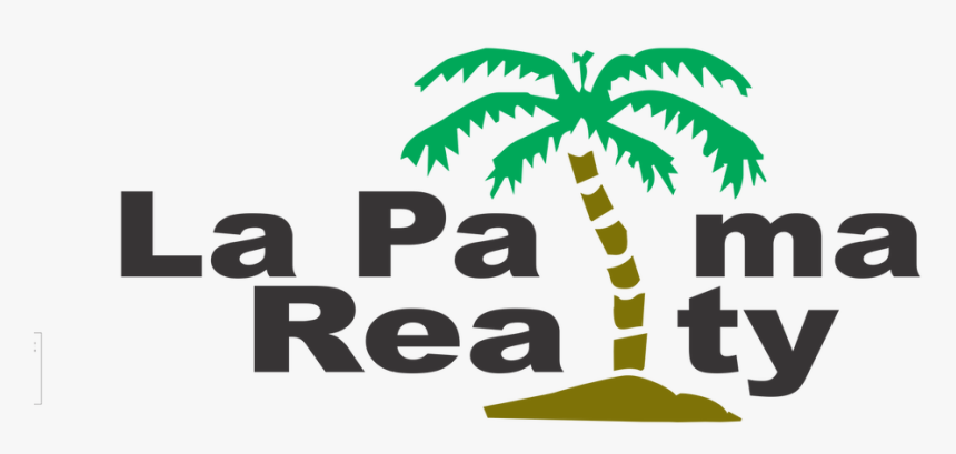 Transparent Palma Png - Lake Nona Region, Png Download, Free Download