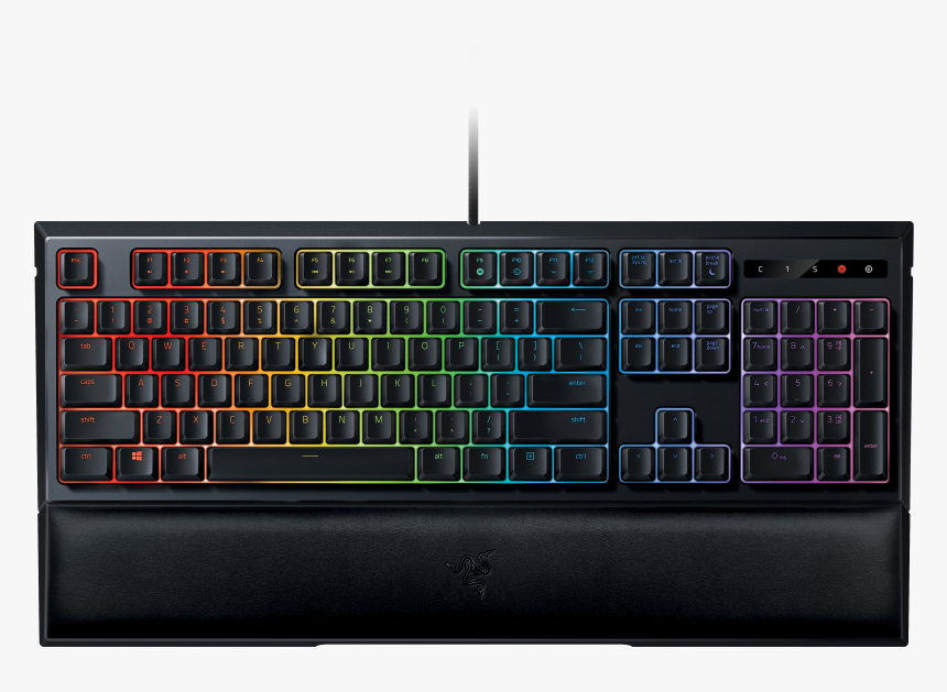 Razer Blackwidow Elite Orange Switch, HD Png Download, Free Download