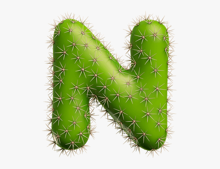 Cactus Letters, HD Png Download, Free Download