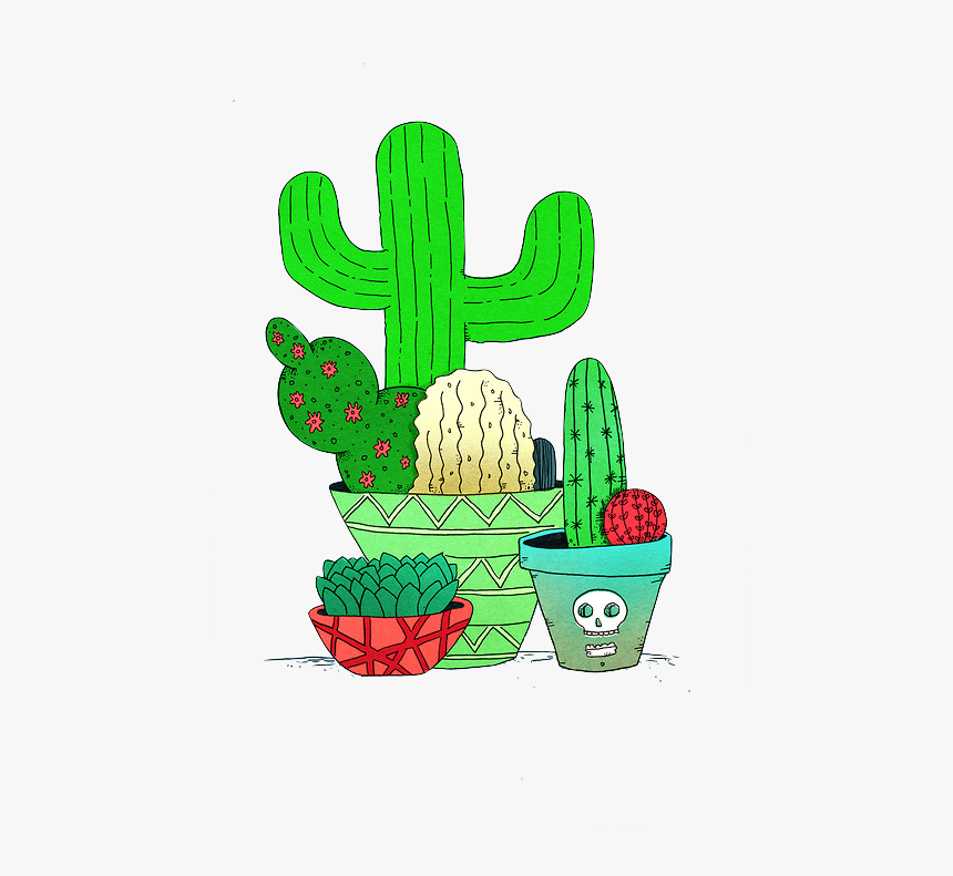 Cactus Y Suculentas Png, Transparent Png, Free Download