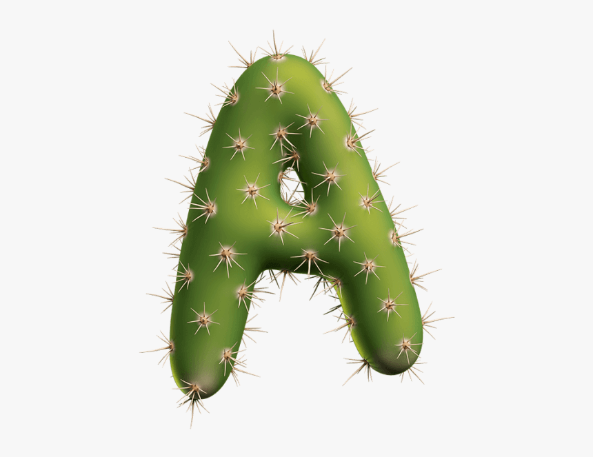 Cactus Free Font Download, HD Png Download, Free Download