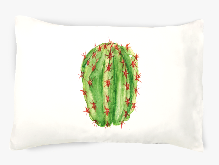 Cactus, HD Png Download, Free Download