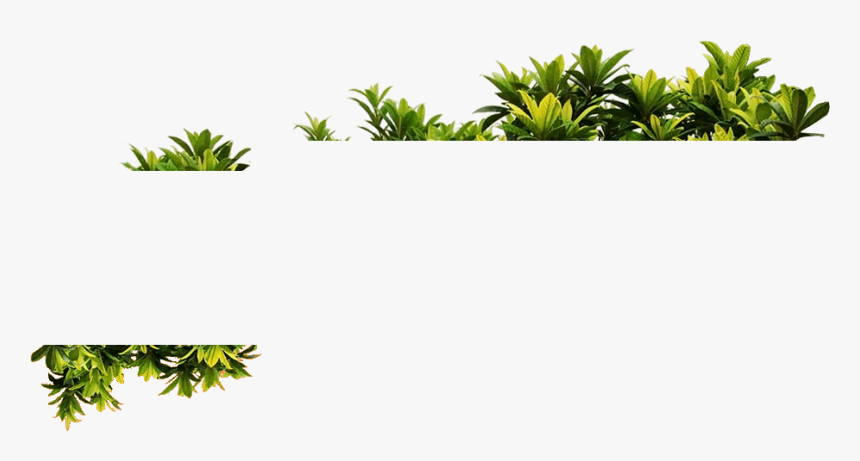 Transparent Plantas Png - Plantas Em Png Para Photoshop, Png Download, Free Download