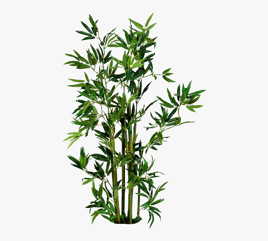 - Arquitectura - Paisajismo - Artificial Bamboo Tree In Pot, HD Png Download, Free Download