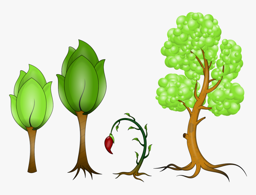 Plantas Png, Transparent Png, Free Download