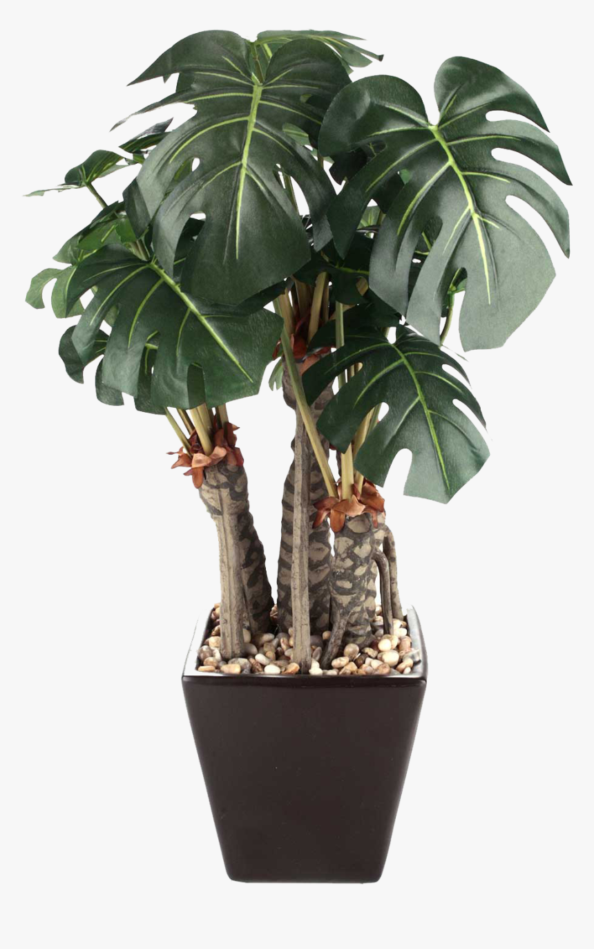 Clip Art Planta Png Pinterest Artificiales - Vaso Alto Para Plantas, Transparent Png, Free Download