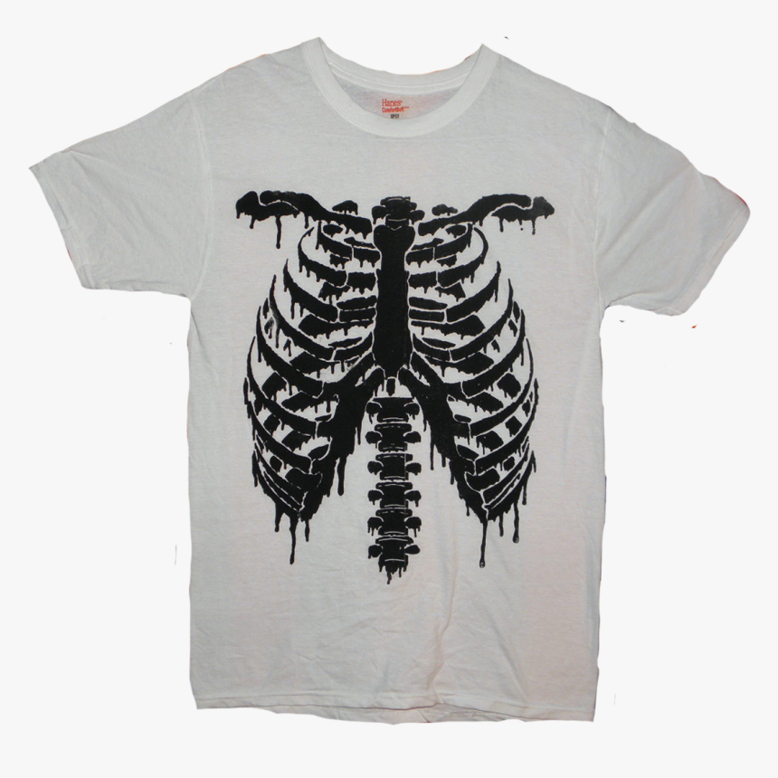 Transparent Rib Cage Png - Trilobite, Png Download, Free Download