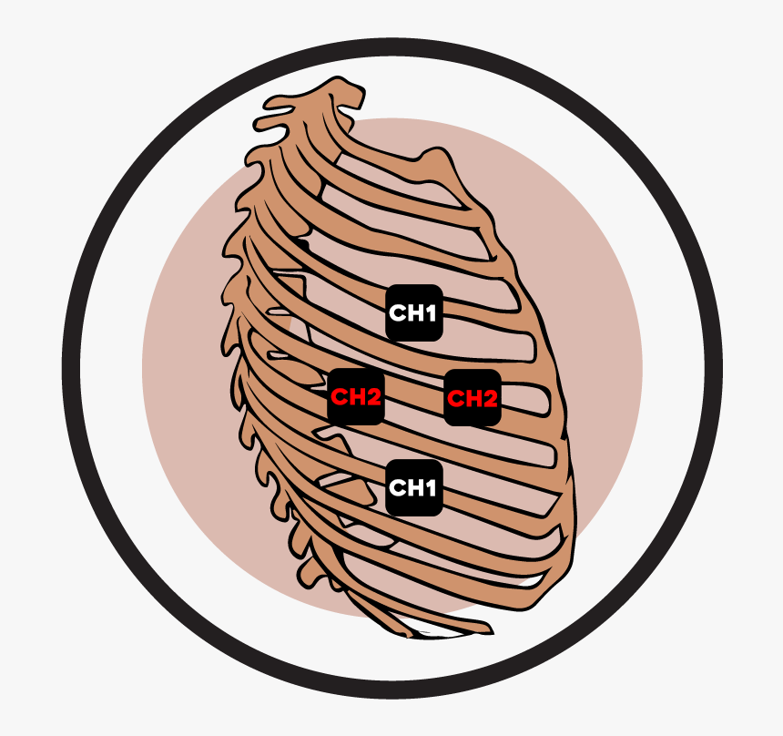 Rib Cage Electrode Pad Placement - Rib Cage, HD Png Download, Free Download