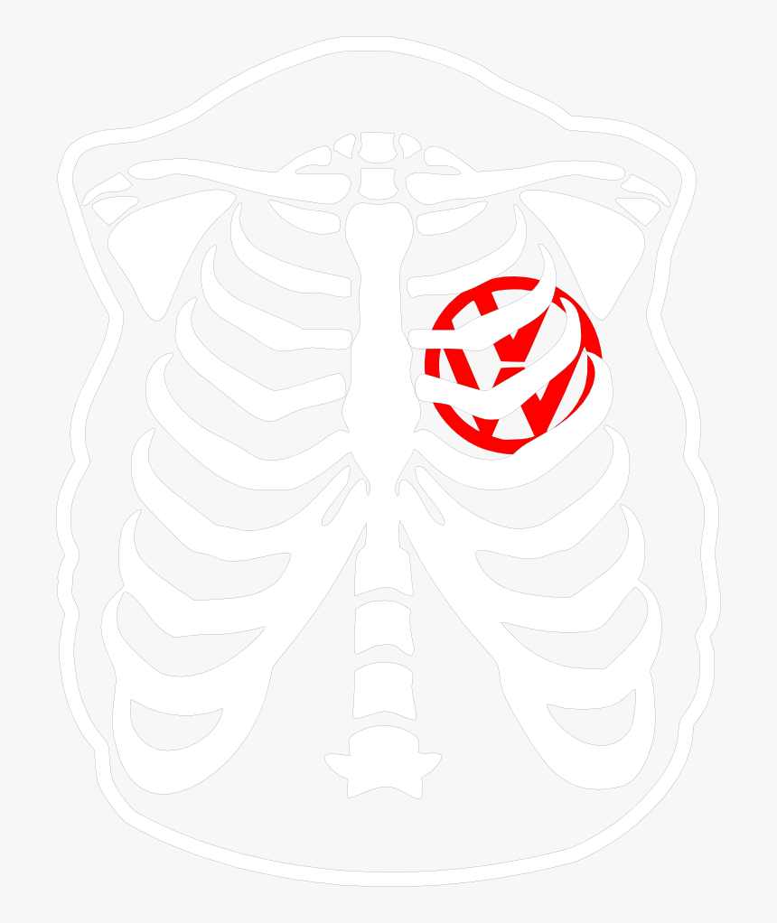 Clip Art Svgs For Geeks - Baby In Womb Skeleton, HD Png Download, Free Download