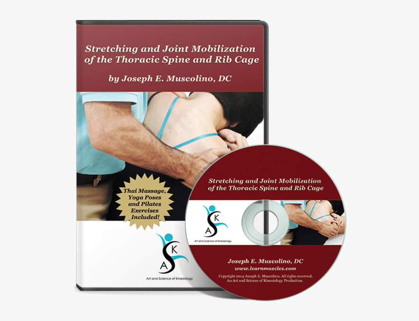Rib Thoracic Joint Mobilization, HD Png Download, Free Download