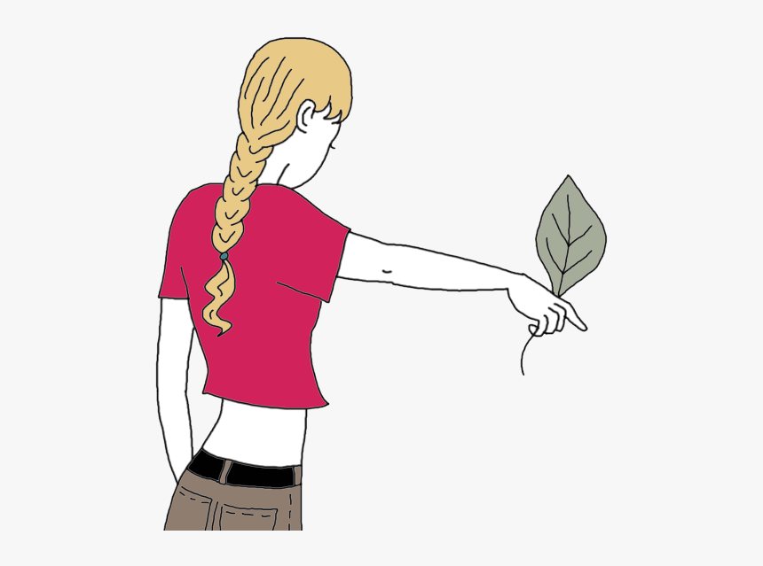 Leaf - Cartoon, HD Png Download, Free Download